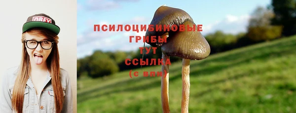 мяу мяу кристалл Верея